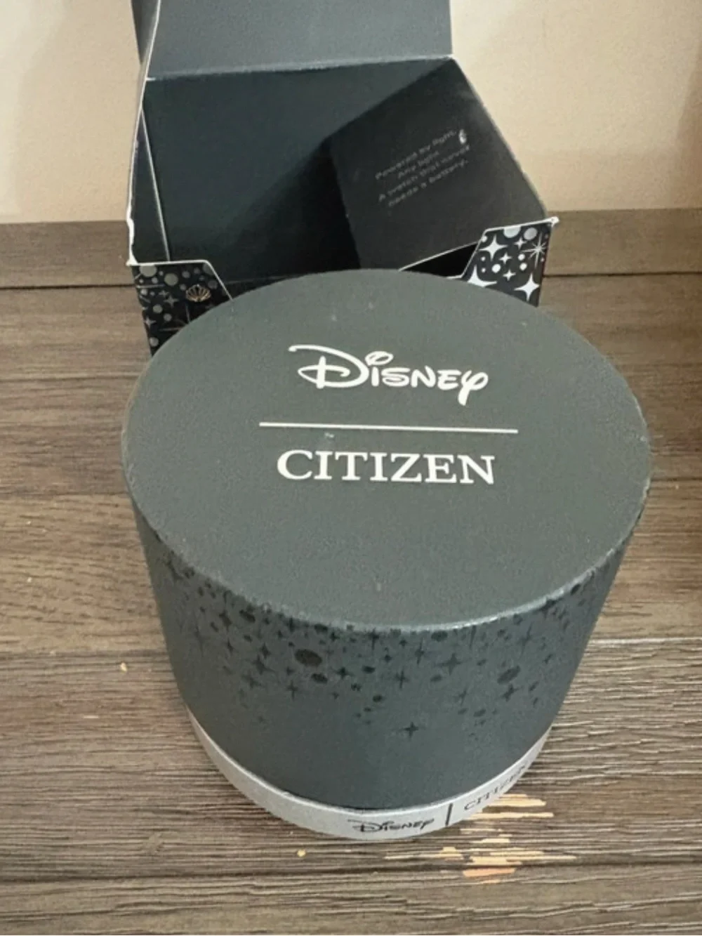 Citizen EM0820-56N ARIEL DISNEY PRINCESS Eco-Drive Diamond Womens Watch